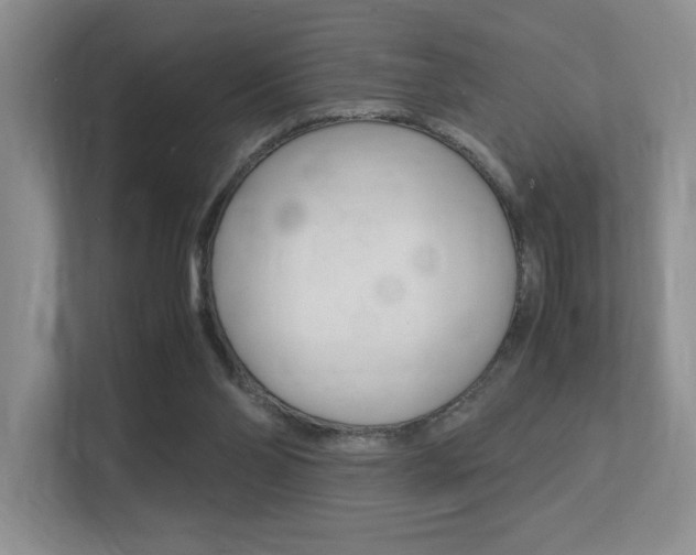 X0000113250110200909100950