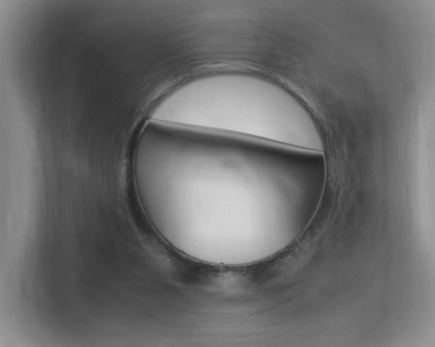 X0000113250111200909100950