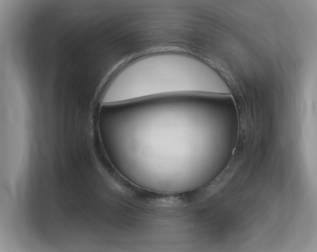X0000113250112200909100950
