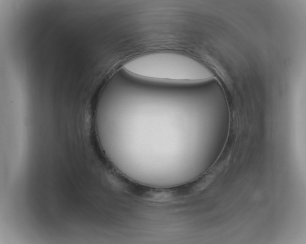 X0000113250113200909100950