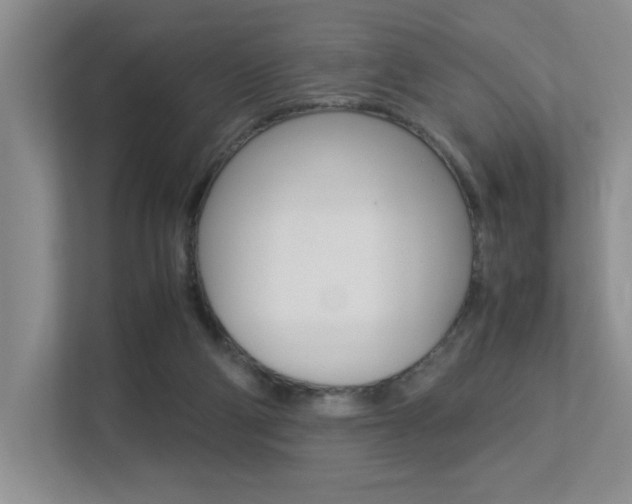 X0000113250114200909100950