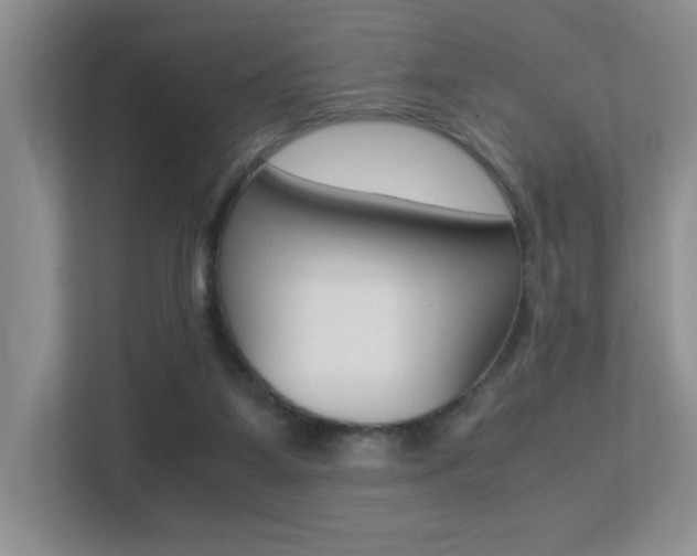 X0000113250115200909100950