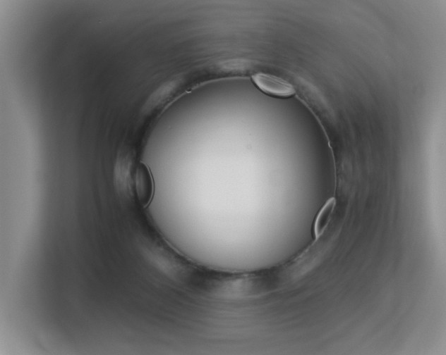 X0000113250116200909100950