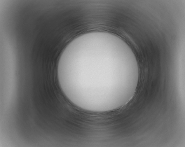 X0000113250124200909100950