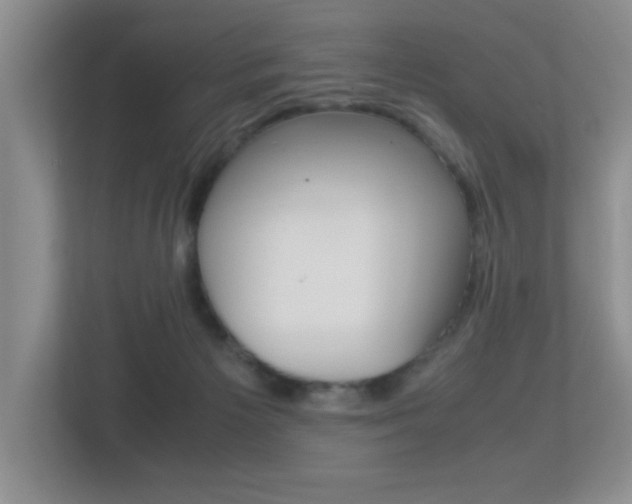 X0000113250125200909100950