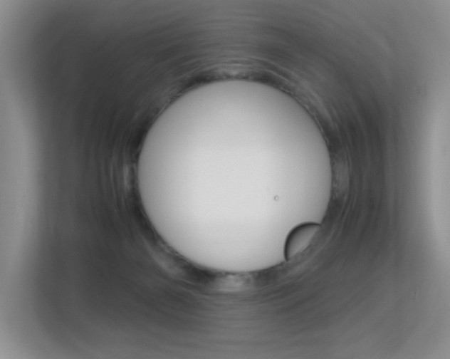 X0000113250126200909100950