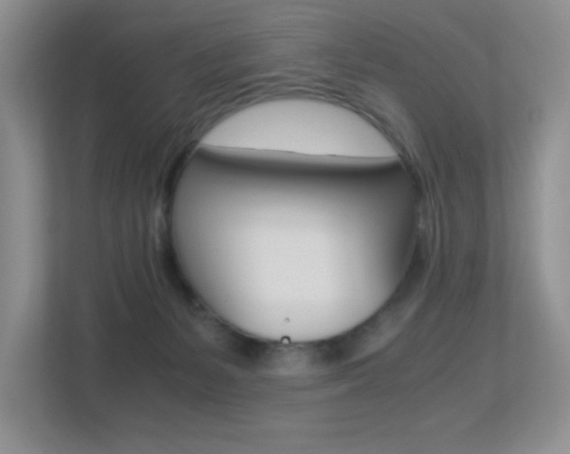 X0000113250127200909100950