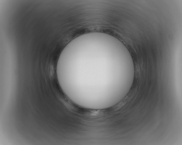 X0000113250130200909100950