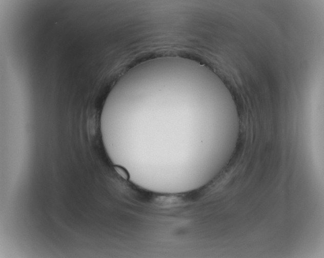 X0000113250133200909100950