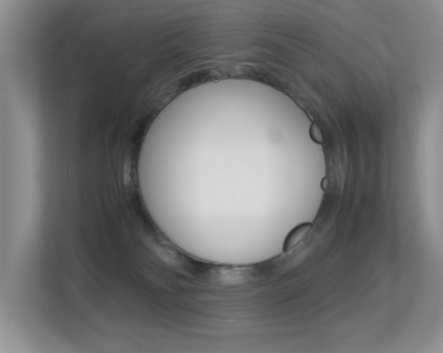 X0000113250134200909100950