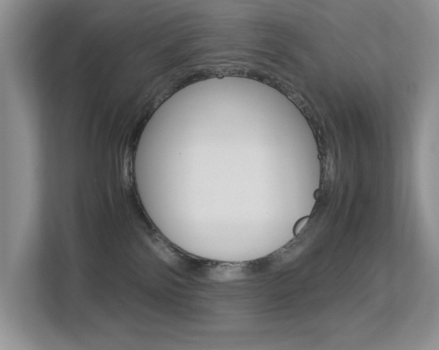 X0000113250138200909100950
