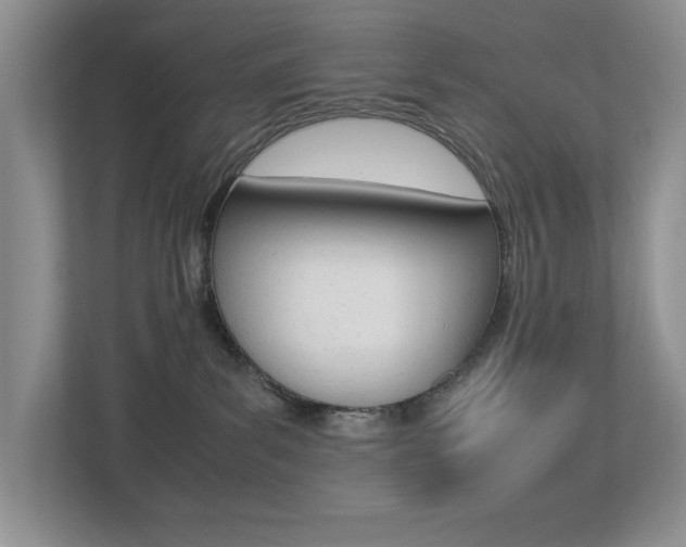 X0000113250139200909100950