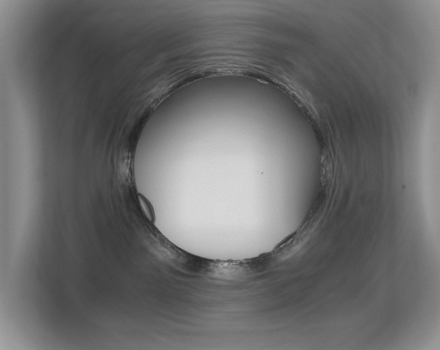 X0000113250141200909100950