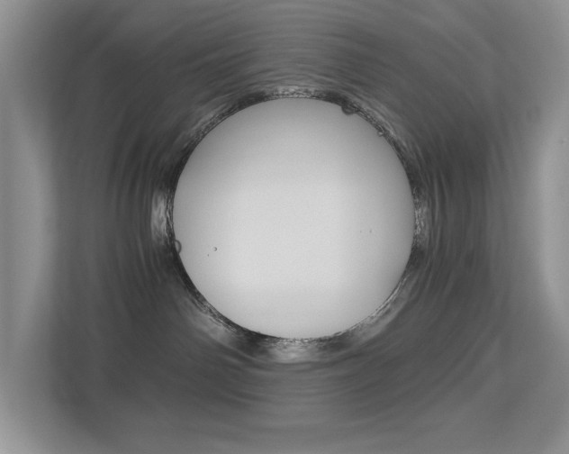 X0000113250142200909100950