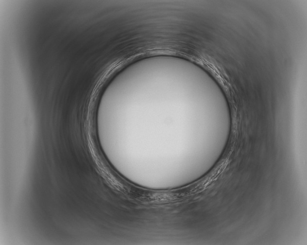 X0000113250145200909100949