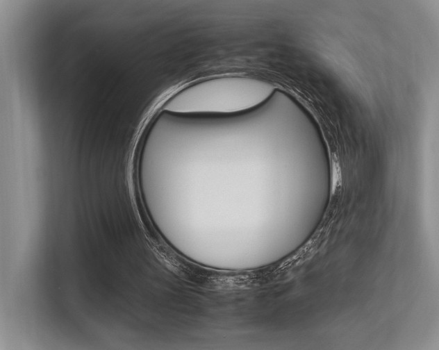 X0000113250147200909100949