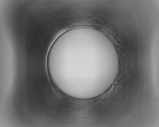 X0000113250148200909100949