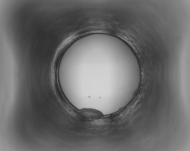 X0000113250149200909100949