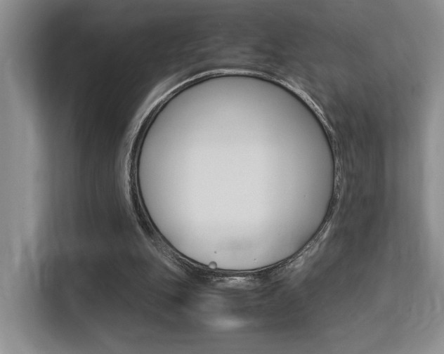 X0000113250151200909100950