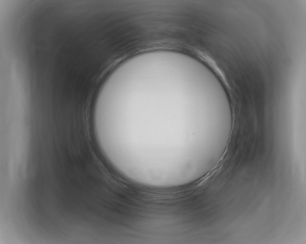 X0000113250154200909100950