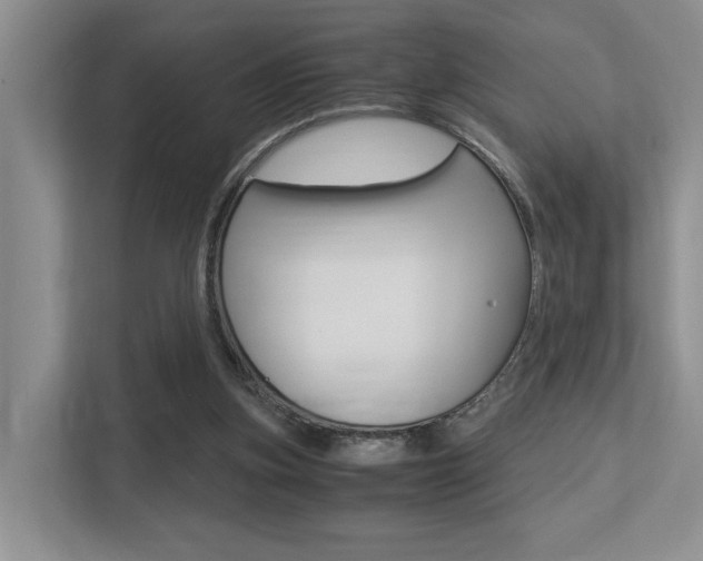 X0000113250155200909100950