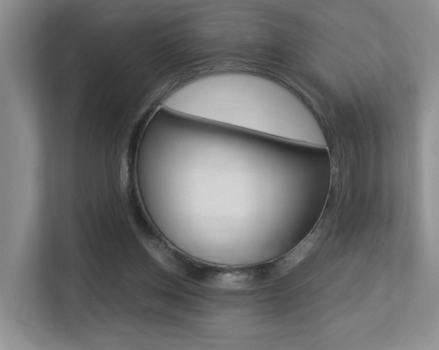 X0000113250158200909100950