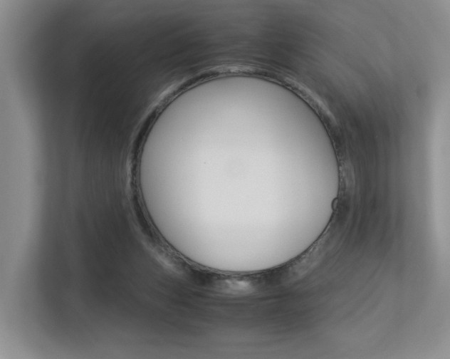 X0000113250159200909100950