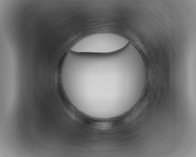 X0000113250161200909100950