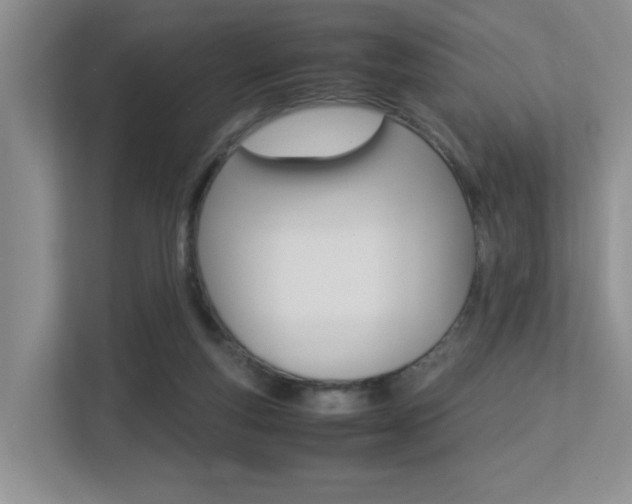 X0000113250163200909100950