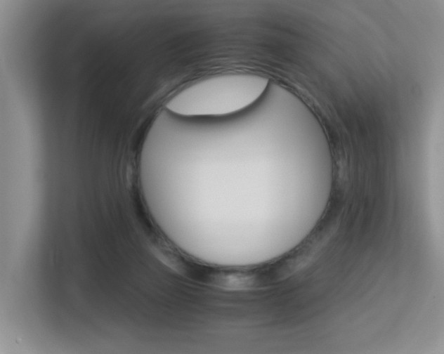 X0000113250165200909100950