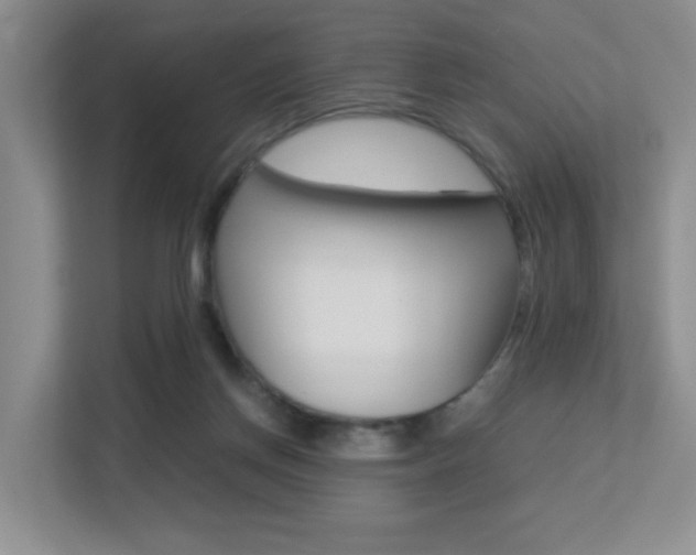 X0000113250166200909100950