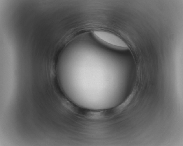 X0000113250170200909100950