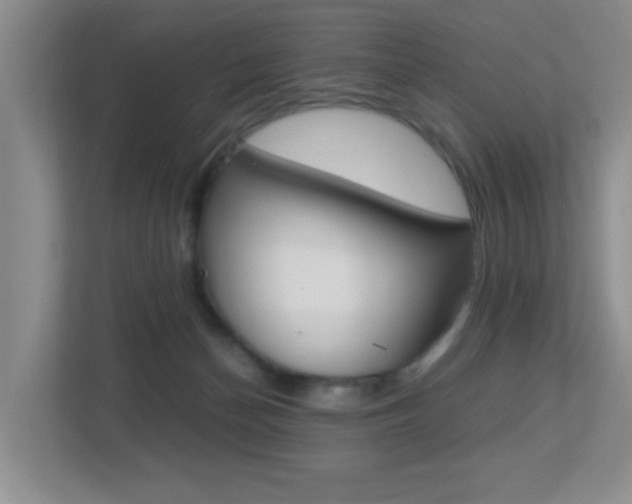 X0000113250174200909100950