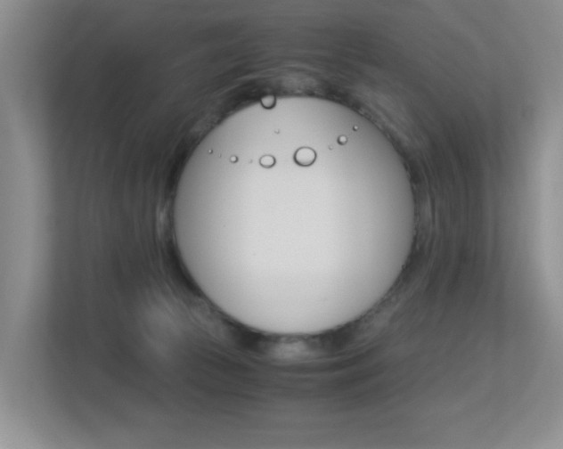 X0000113250177200909100950