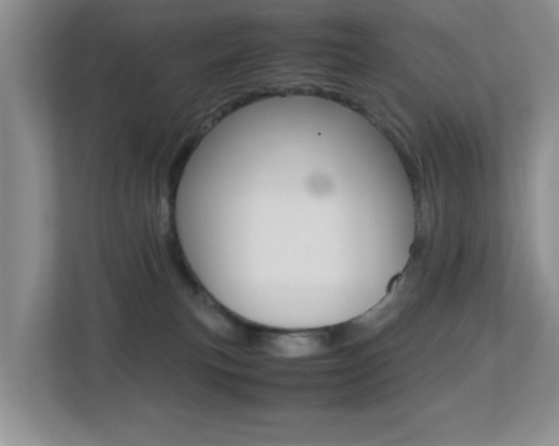 X0000113250183200909100950