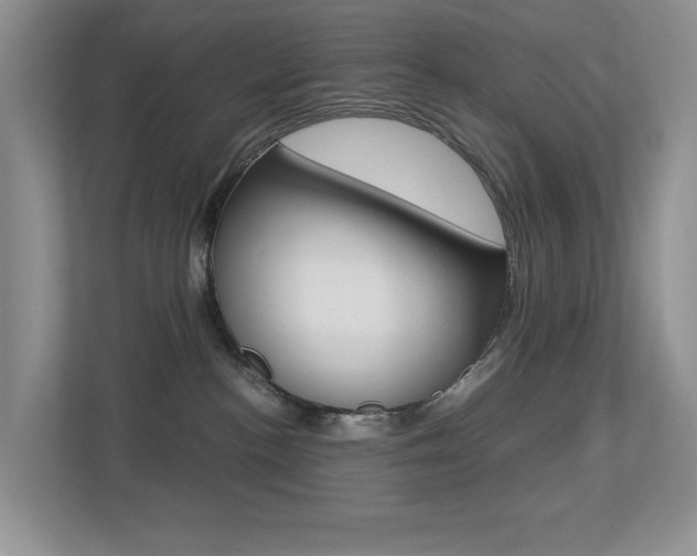 X0000113250188200909100950