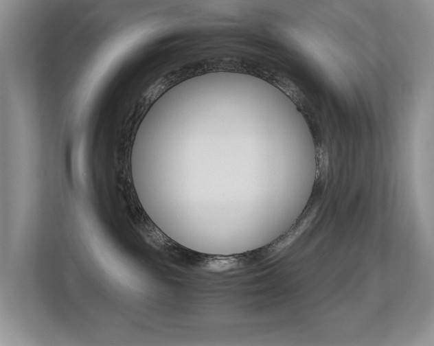 X0000113250189200909100950