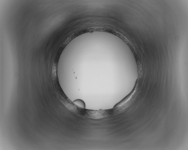X0000113250191200909100950