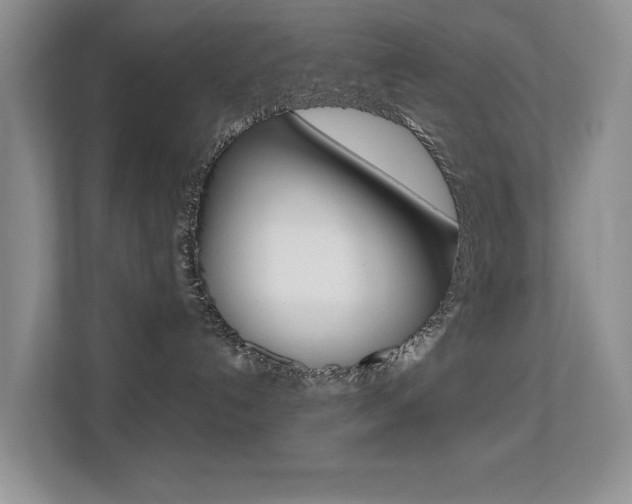 X0000113250192200909100950