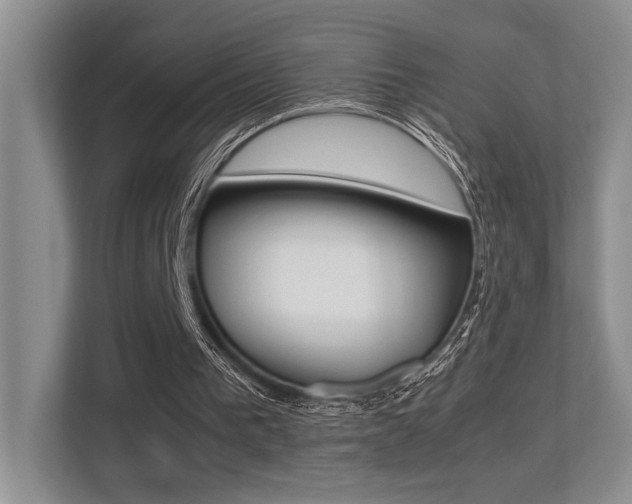 X0000113250193200909100949