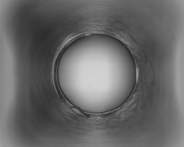 X0000113250195200909100949