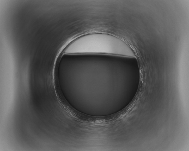 X0000113250196200909100949