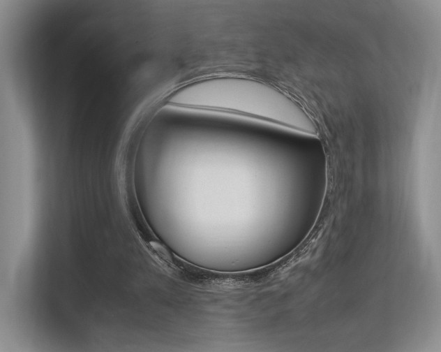 X0000113250197200909100949