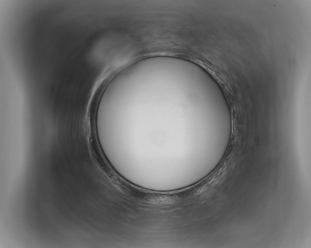 X0000113250198200909100949