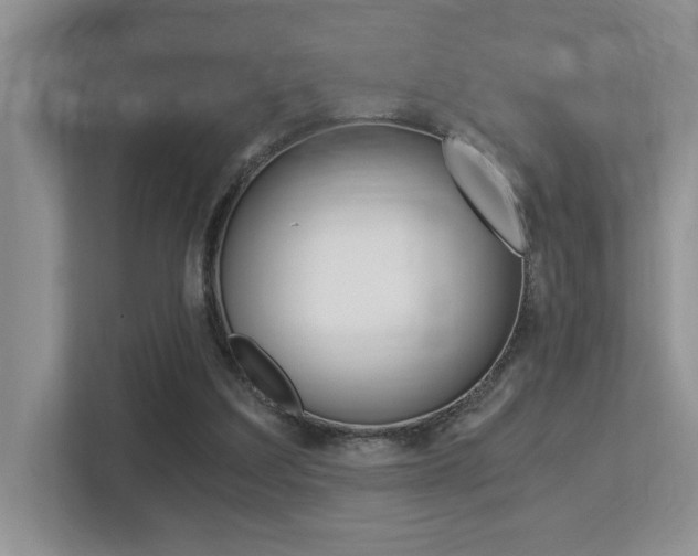 X0000113250203200909100949