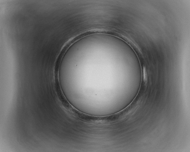 X0000113250204200909100949