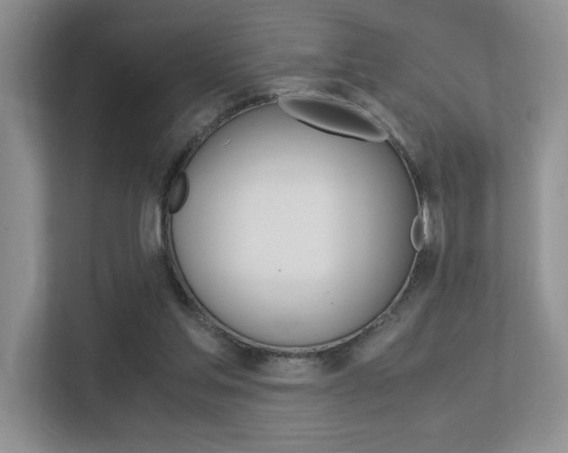 X0000113250205200909100949