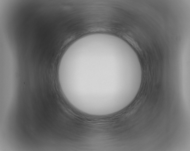 X0000113250207200909100949