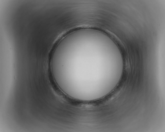 X0000113250208200909100949