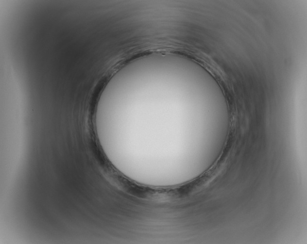 X0000113250209200909100949